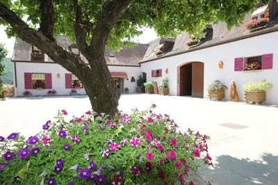 Jardin de l'établissement Hotel Le Manasses
