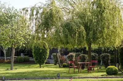 Jardin de l'établissement Le Domaine des Prés Verts Suites & Chambres avec Jacuzzi Privatif