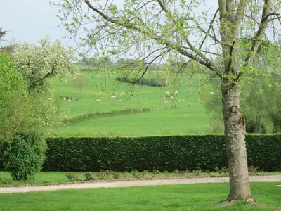 Jardin de l'établissement Le clos de la perdrix
