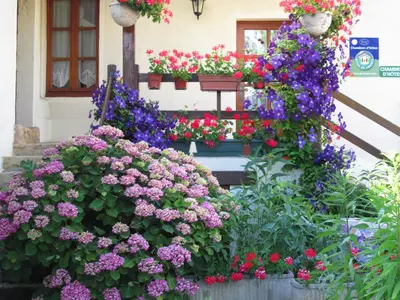 Jardin de l'établissement Le clos de la perdrix