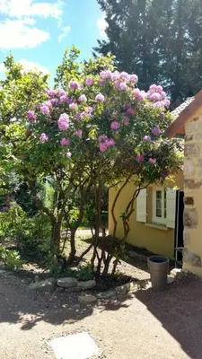 Jardin de l'établissement Le Cèdre enchanté