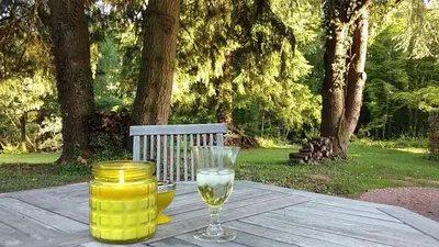 Boissons dans l'établissement Le Cèdre enchanté