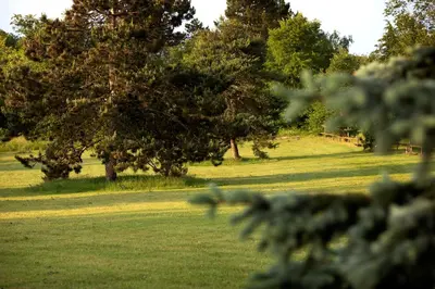 Jardin de l'établissement L'Hote Antique - MAISON D'HOTE- 4 Suites avec cuisine
