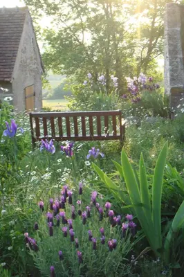Jardin de l'établissement La Tour