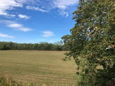 Paysage naturel près de l'appartement