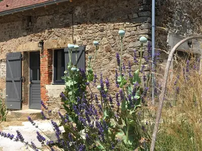 Jardin de l'établissement Gîte de la Pisserotte