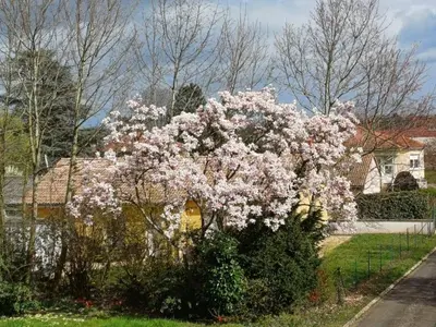 Jardin de l'établissement Gite Chanay 100 m2 Tournus 3 chambres