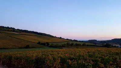Paysage naturel près de la maison d'hôtes