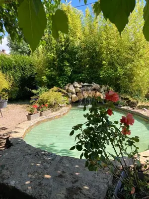 Jardin de l'établissement Hostellerie du Vieux Moulin