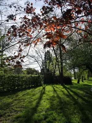 Jardin de l'établissement Le Jardin de la Reyssouze