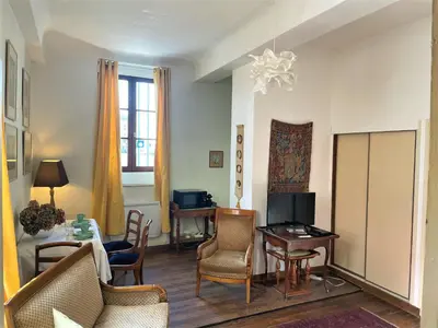 Télévision ou salle de divertissement dans l'établissement Très bel appartement dijonnais place Wilson GUTEMBERT