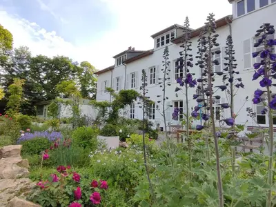 Jardin de l'établissement Château du Pommoy