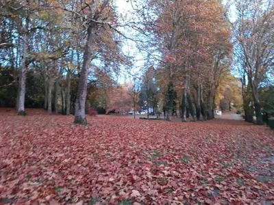 Paysage naturel près de l'appartement