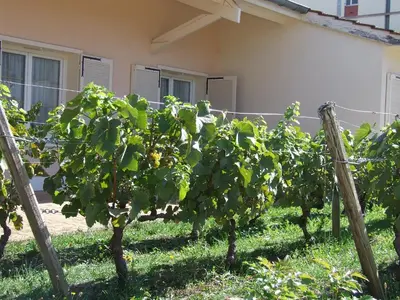 Jardin de l'établissement Hôtel de la Poste