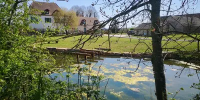 Paysage naturel près de le B&B/chambre d'hôtes