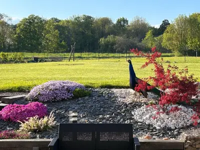 Jardin de l'établissement Gite 1er Cru - La Loubertine