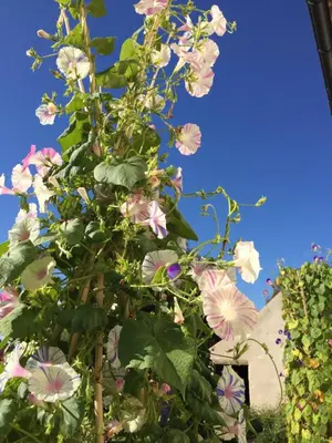 Jardin de l'établissement Gite 1er Cru - La Loubertine