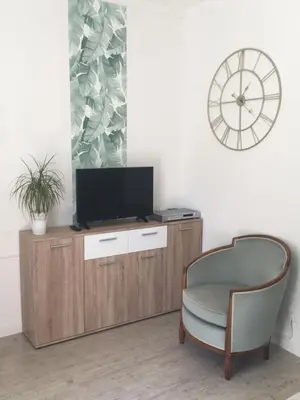 Télévision ou salle de divertissement dans l'établissement Studio Clémenceau