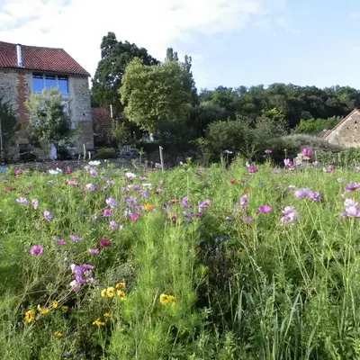Vineyard Garden Studio