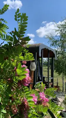 Jardin de l'établissement La roulotte d'Elicie