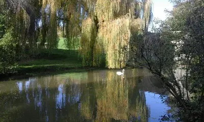 Paysage naturel près de l'appartement