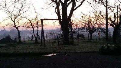 Lever ou coucher de soleil vu de la maison de vacances ou à proximité