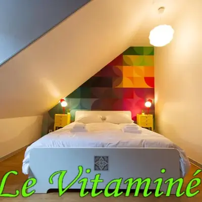 APPARTEMENT LE VITAMINE - topbnb dijon