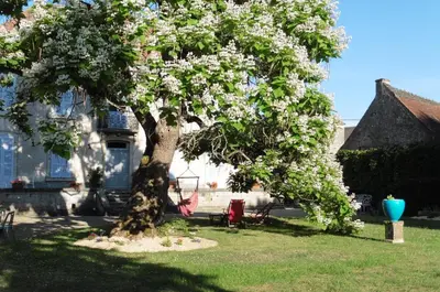 Jardin de l'établissement Le Clos des Roseaux