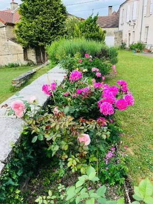 Jardin de l'établissement LA ROSERAIE DE ST REMY