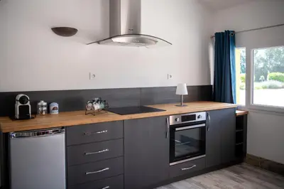 Cuisine ou kitchenette dans l'établissement Domaine des jardins de la Saône