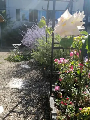 Jardin de l'établissement Gîte Pierre et Marie