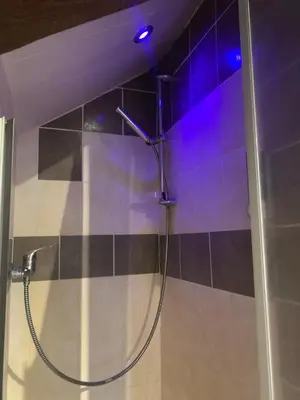Salle de bains dans l'établissement Le Duplex Cosy - Gare & Cité Gastronomique