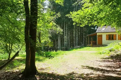 Jardin de l'établissement Cottage du lac de Chaumeçon avec étang privé
