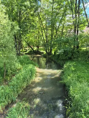 Paysage naturel près de le B&B/chambre d'hôtes
