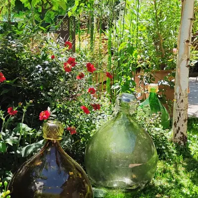 Jardin de l'établissement La petite madeleine - Chambre d'hôtes- Piscine & spa