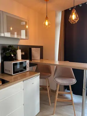 Cuisine ou kitchenette dans l'établissement Le Nid de la Chouette by Apparts Spa Dijon