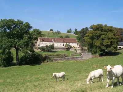 Animaux dans le B&B/chambre d'hôtes ou à proximité