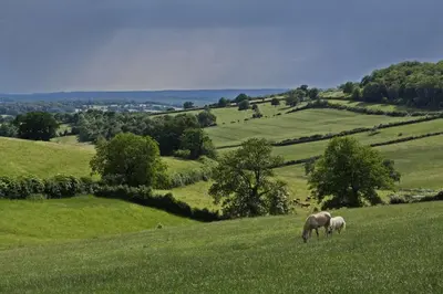 Paysage naturel près de le B&B/chambre d'hôtes