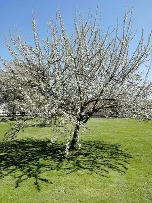 Jardin de l'établissement Studio à la campagne dans corps de ferme rénovée