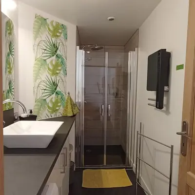 Salle de bains dans l'établissement L'Albizia Gîte Climatisé St Maurice