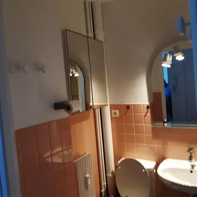 Salle de bains dans l'établissement LE PHENIX à internet haut débit & parking