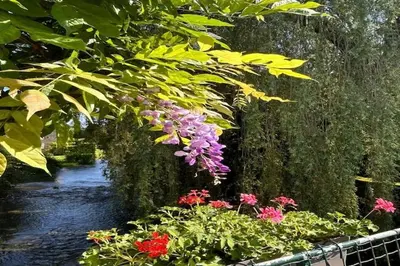 Jardin de l'établissement Retreat in Bligny-sur-Ouche