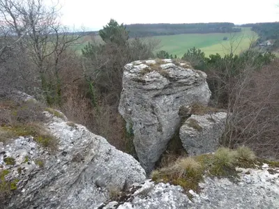 Paysage naturel près de l'appartement
