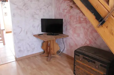 Télévision ou salle de divertissement dans l'établissement Les Riquets