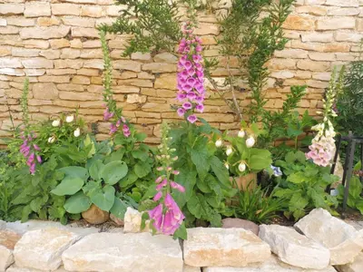 Jardin de l'établissement Chambre d'hôtes des 3 ifs