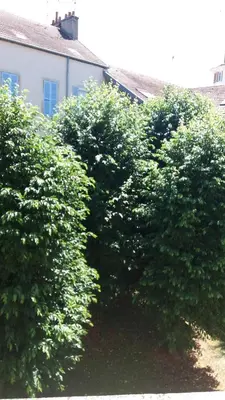 Jardin de l'établissement Meublé de tourisme 2* les Jardins de l Arquebuse