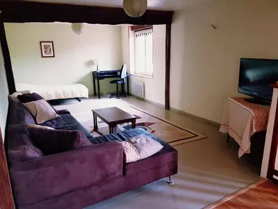 Télévision ou salle de divertissement dans l'établissement Gîte cosy 4 à 9 personnes