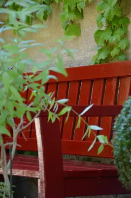 Jardin de l'établissement Maison d'hôtes 