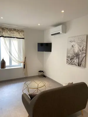 Télévision ou salle de divertissement dans l'établissement Le Nid du Faubourg