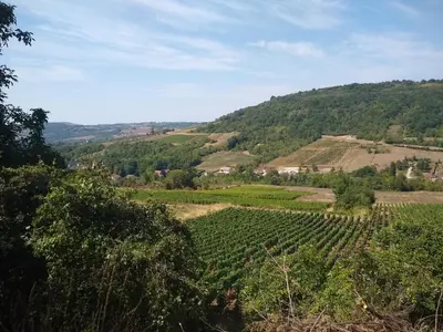 Paysage naturel près de l'appartement